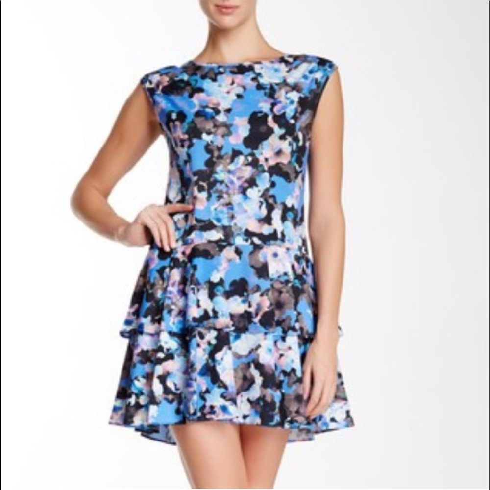 CeCe Cynthia Steffe- Woman’s Alexia Drop Waist Floral Dress